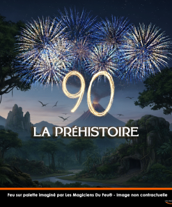 Alternative view of Pack 90 ans « la pré-histoire »